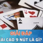 Tìm hiểu về bài cào là gì?