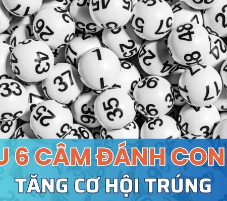 Đầu 6 câm đánh con gì? Giải đáp chi tiết