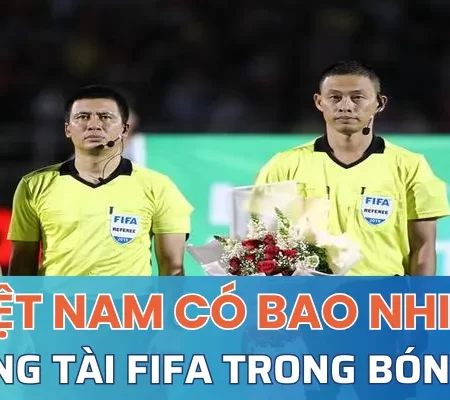Tổng hợp Việt Nam có bao nhiêu trọng tài FIFA bóng đá? 